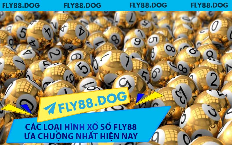 Các Loại Hình Xổ Số FLY88 Ưa Chuộng Nhất Hiện Nay