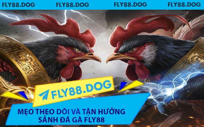 Mẹo Theo Dõi Và Tận Hưởng Sảnh Đá Gà FLY88