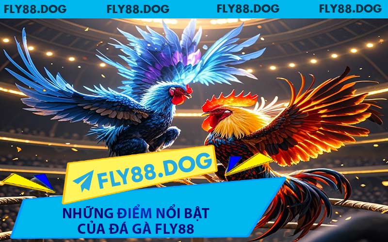 Những Điểm Nổi Bật Của Đá Gà FLY88