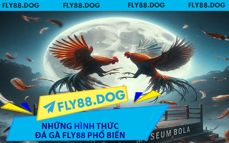 Những Hình Thức Đá Gà FLY88 Phổ Biến