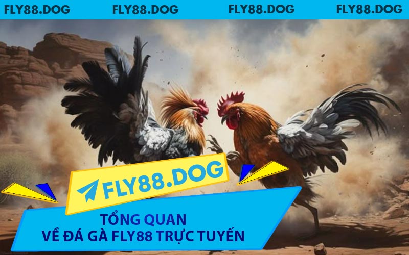 Tổng Quan Về Đá Gà FLY88 Trực Tuyến