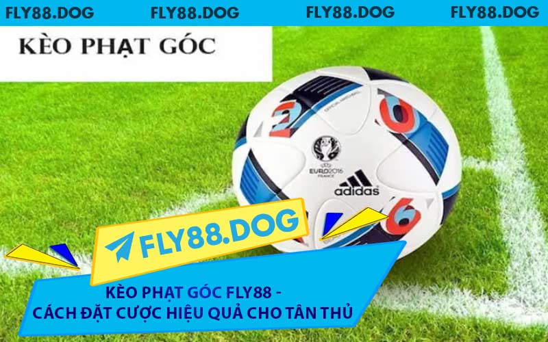 Kèo Phạt Góc FLY88 - Cách Đặt Cược Hiệu Quả Cho Tân Thủ